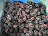 IQF whole blackberry