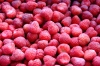 IQF whole strawberry