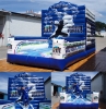 Inflatable Bouncer