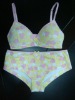 Ladies' bra set,underwear