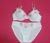 Ladies embroidery bra set