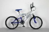 MTB Bike