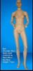 M-4 makeup female mannequin,fiberglass mannequin,model