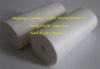 Nappy liner / flushable liner / Bio liner