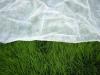 Non woven spunbond fabric