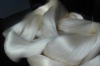Organic Silk Filament