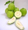 Passion Fruit