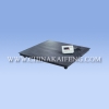Platform Scale