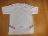 Poly t-shirt ( Brand t-shirt, sport t-shirt)