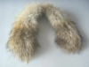 Raccoon collar