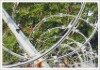 Razor barbed Wire