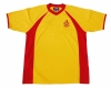 SP008 Sport Jersey