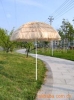 SUN  UMBRELLA