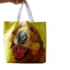 Shopping bag(non-woven shopping bag,  folding bag ,  tote bag)