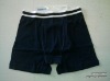 Short Pant