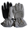 Ski Gloves YC0801L