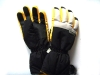 Ski Gloves YC0801M