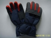 Ski Gloves  YC0804M