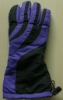 Ski glove