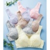 Soft Bra With Elastic  Lace