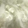 Solid (1.5D x 38mm)