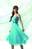 Special Evening Wear with High-quality Princess Organza