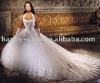 Special Wedding Wear with a long tail