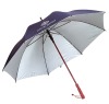 Straight auto open wooden umbrella,Korea umbrella