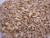 Sunflower kernel