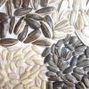 Sunflower seeds