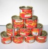 Tinned Tomato Paste in 70g