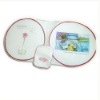 Tyvek Sunshade(car sunshade,sunshade)