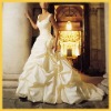 Wedding dress/bridal dress/bridal clothes (We are a manufacturer.High quality,Low wholesale price,drop ship) DF1189