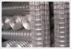 Welded Iron Wire Mesh