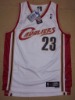 Wholesale basketball jersey,swingman basketball jersey,king J jersey,swingman jersey,2009 New Top Quality,cleveland #23,PAYPAL