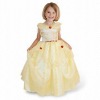 YQSK2008-1-30-02  Princess dress