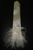 [SUPER DEAL]wedding glove