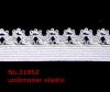 [WEBBING] underwear elastic webbing