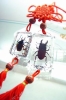 amber key chain