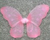 angel wing 080924-10