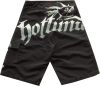beach shorts 2