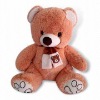 bear/plush bear/stuffed bear