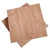 bintangor/Meranti Plywood