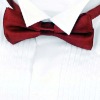 bow tie,silk bow tie,fashion bow tie,men's bow tie