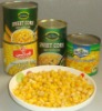 canned corn kernel,canned sweet corn,Canned corn,
