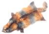 colourful raccoon fur