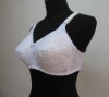 export bra758