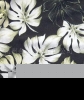 fabric/knitted fabric/printed fabric