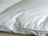 feather mattress pad