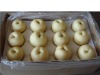 fresh century pear
